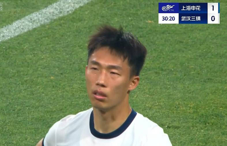 申花在场上表现出色，受到观众一致称赞的简单介绍